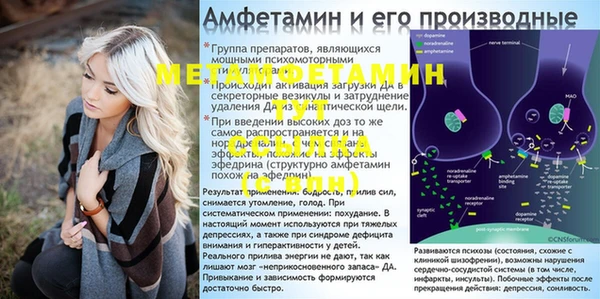 MESCALINE Аркадак