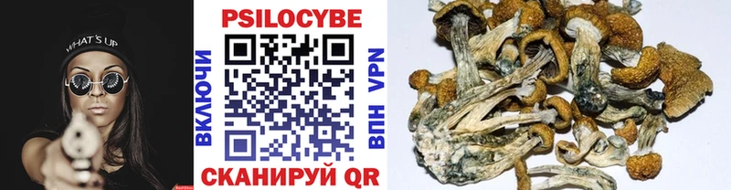 дарк нет Telegram  мега онион  Судак  Псилоцибиновые грибы Psilocybe 